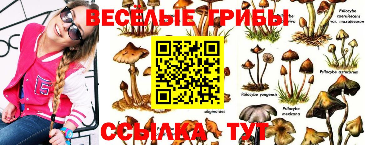 Ангарск  Псилоцибиновые грибы прущие грибы  купить наркотики цена  Вход с VPN  Псилоцибиновые грибы мухоморы 